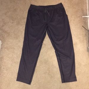 Lululemon dark blueish purple Pants / sweatpants